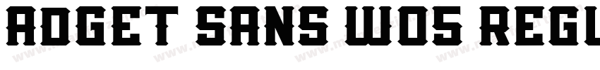 ADGET SANS W05 Regul字体转换